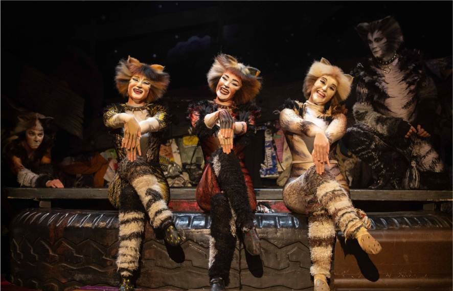 Cats 4 1