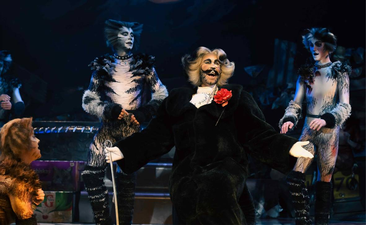 Cats1 ©Alessandro Pinna