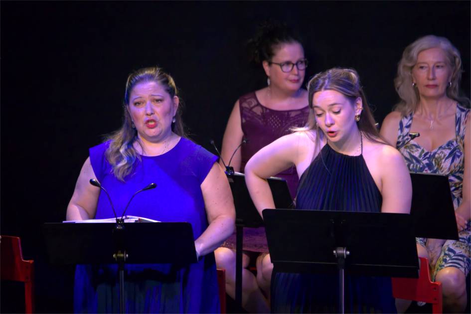 Les Contes de Perrault, au Festival de la Follembûche 5 4 Perrault